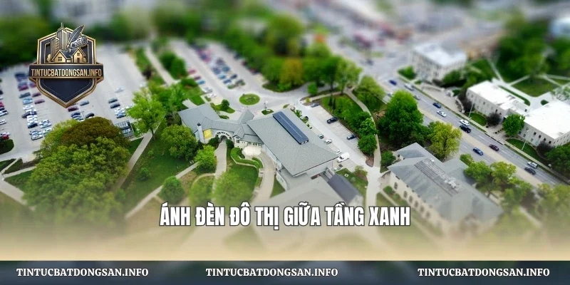 Ánh đèn đô thị giữa tầng xanh