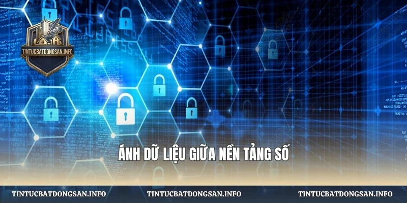 Ánh dữ liệu giữa nền tảng số