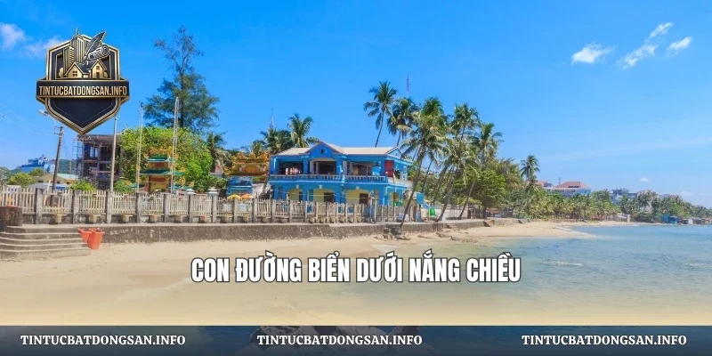Con đường biển dưới nắng chiều