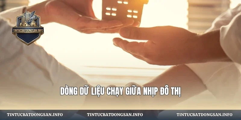 Dòng dữ liệu chạy giữa nhịp đô thị