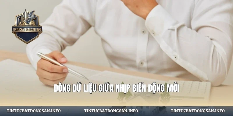 Dòng dữ liệu giữa nhịp biến động mới
