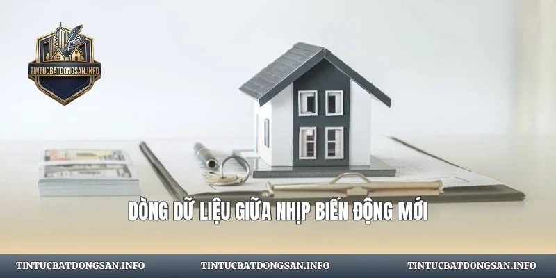 Dòng dữ liệu giữa nhịp biến động mới