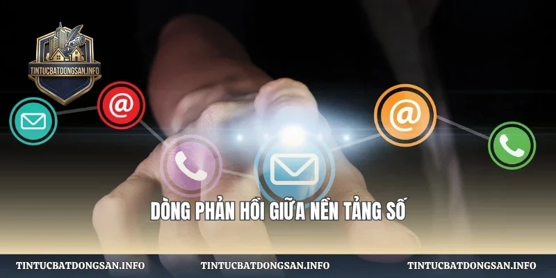 Dòng phản hồi giữa nền tảng số