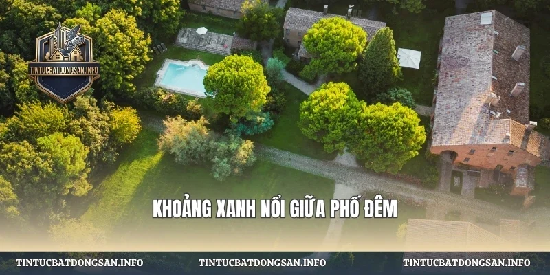 Khoảng xanh nổi giữa phố đêm