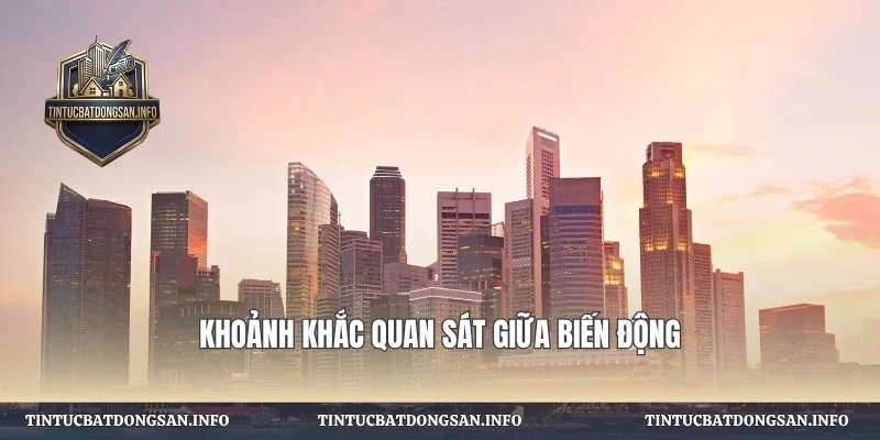 Khoảnh khắc quan sát giữa biến động