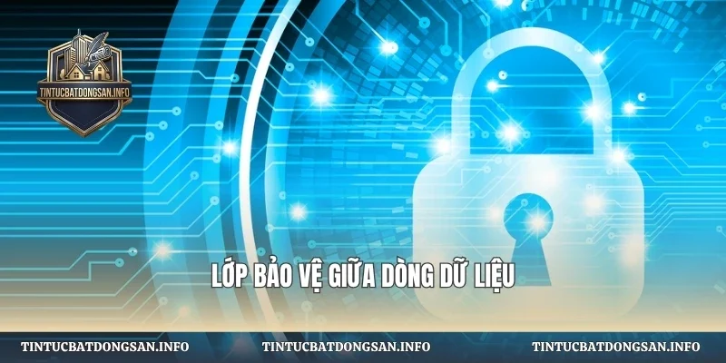 Lớp bảo vệ giữa dòng dữ liệu