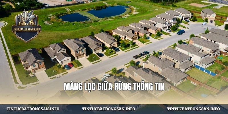 Màng lọc giữa rừng thông tin
